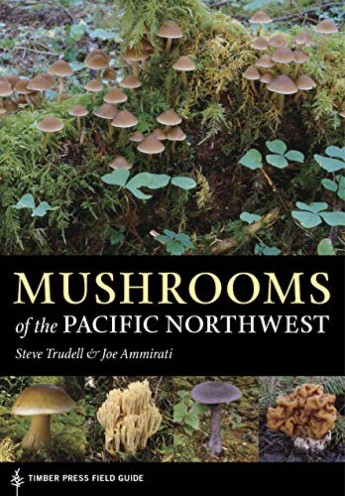 mushrooms of pacific northwest