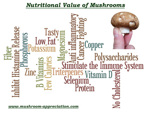Learn about the nutritional value of mushrooms at www.mushroom-appreciation.com