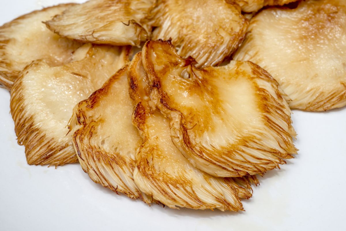 cooked lion's mane mushroom