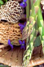 Asparagus recipe for morel mushrooms