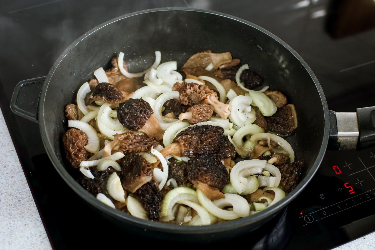 morel mushrooms cooking