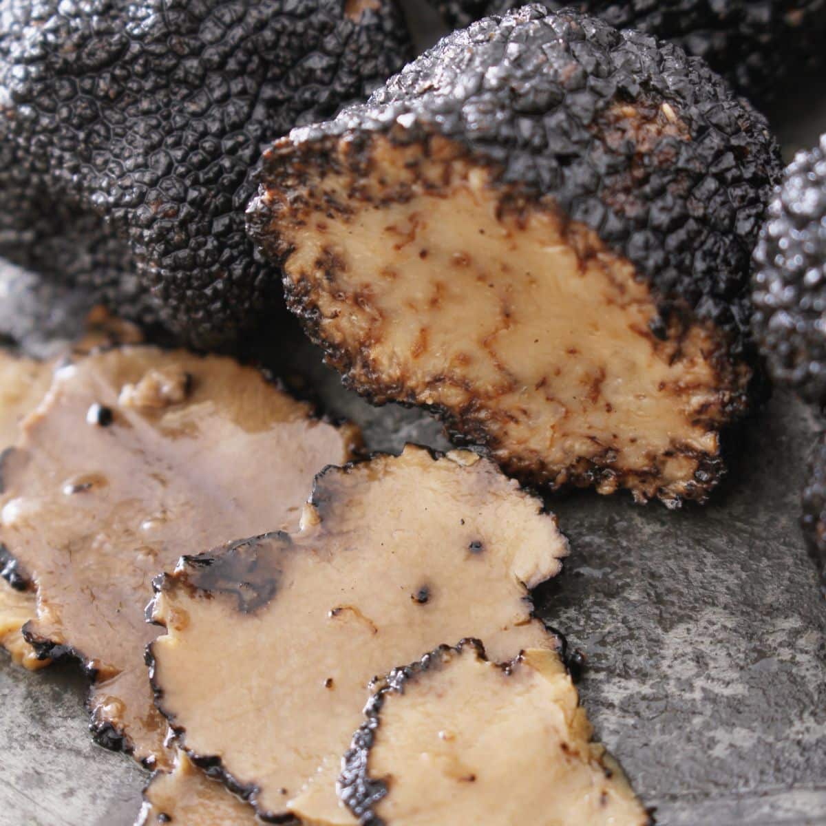 truffle fungi